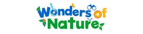 wonders of nature icon