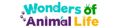 wonders of animal life icon