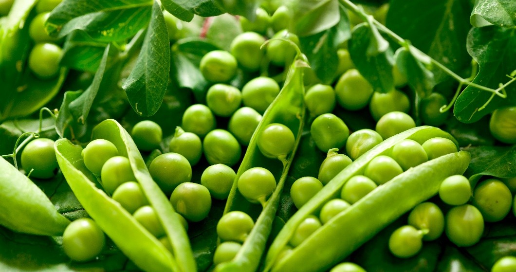 A close-up of peas.